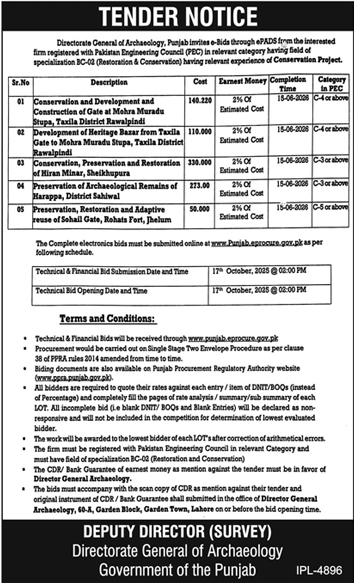 Department of Archaeology Tender Notice